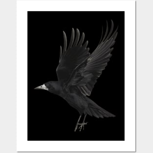 Crow Posters and Art
